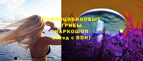 spice Армянск